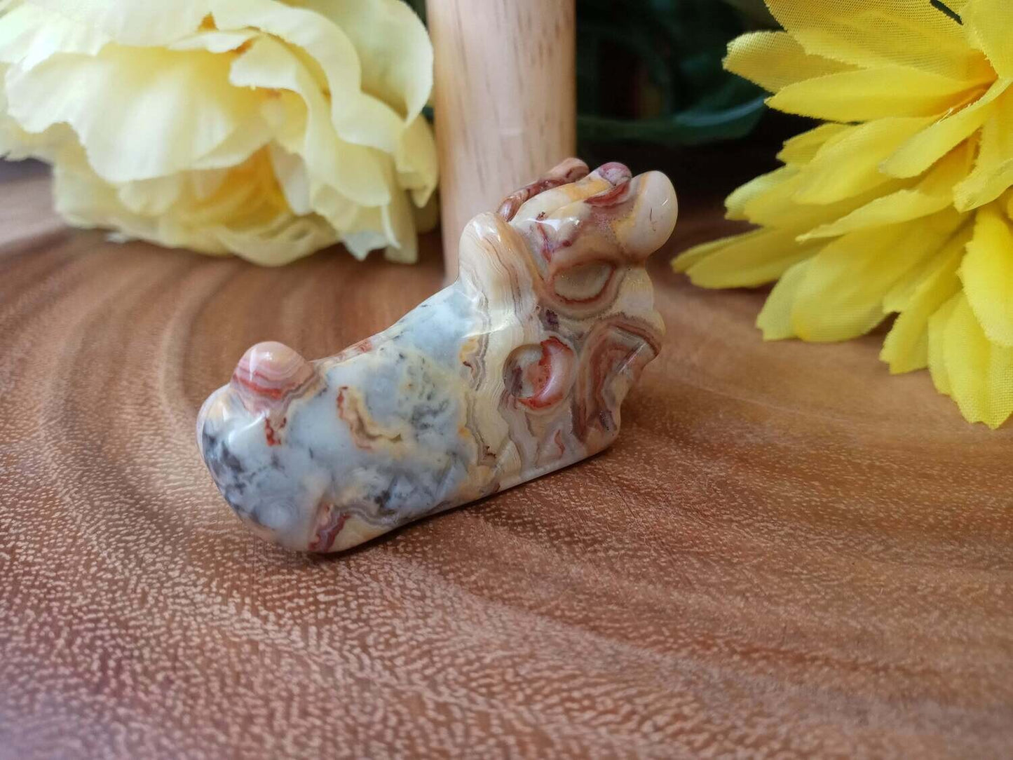 Crazy Lace Agate Dragon