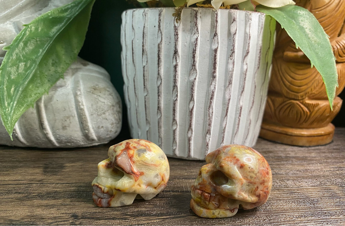 Crazy Lace Agate Skull