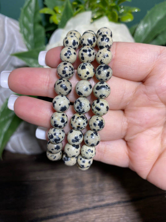 Dalmatian Jasper Bracelet