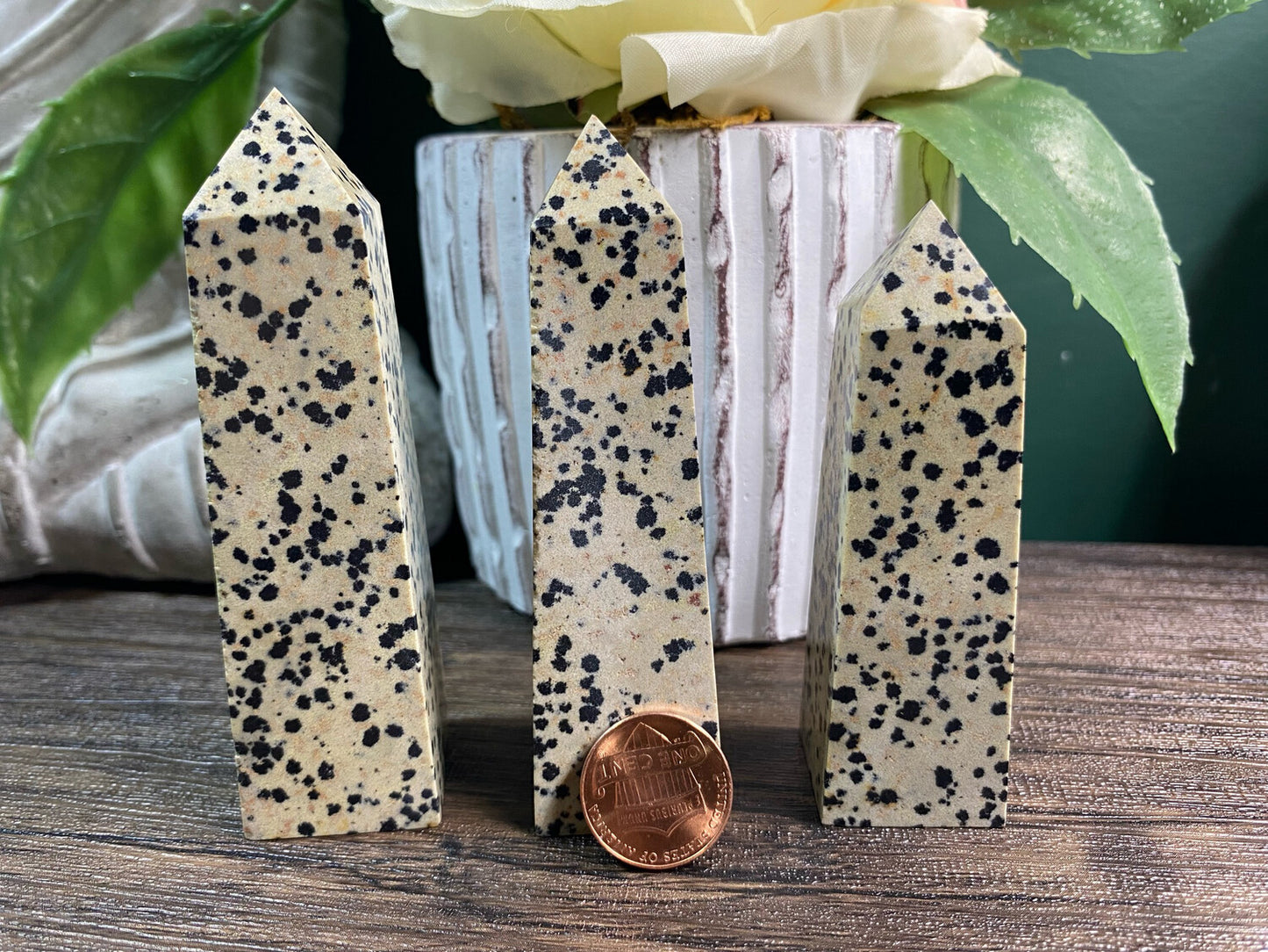 Dalmatian Jasper Obelisk Point