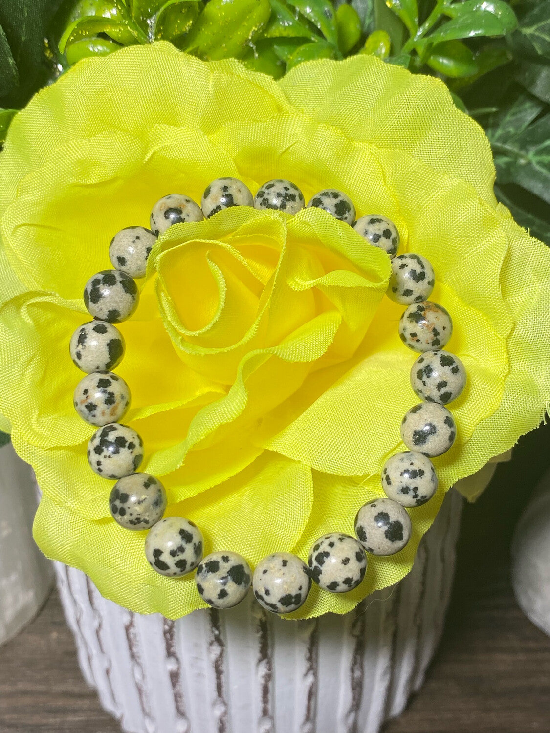 Dalmatian Jasper 2-Piece Jewelry Set