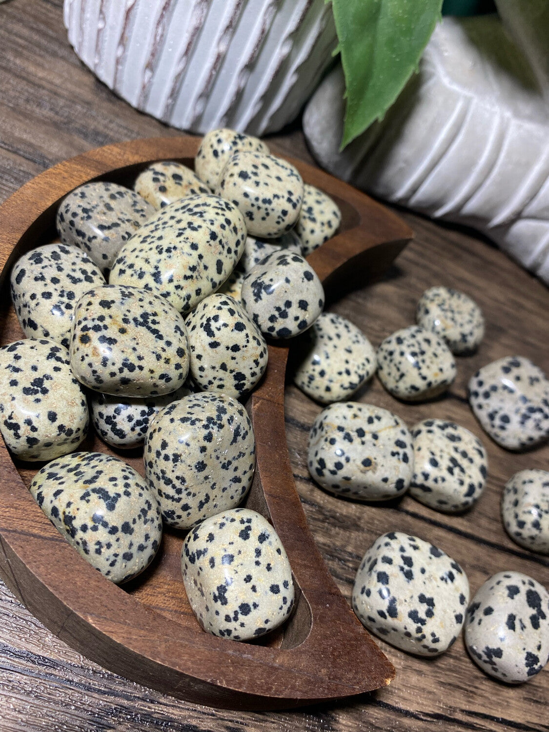 Dalmatian Jasper Tumble Stone
