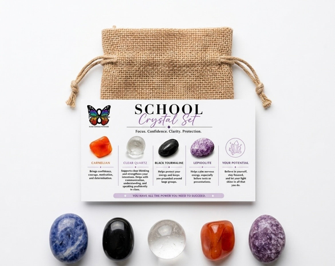 School Crystal Set