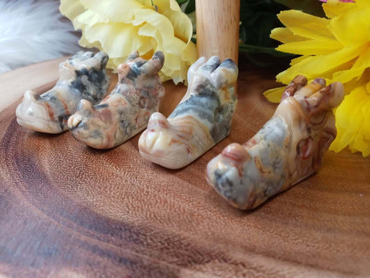 Crazy Lace Agate Dragon