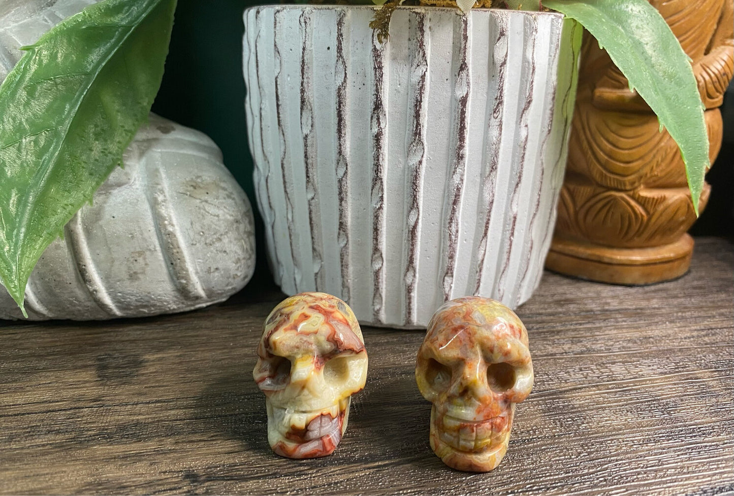 Crazy Lace Agate Skull