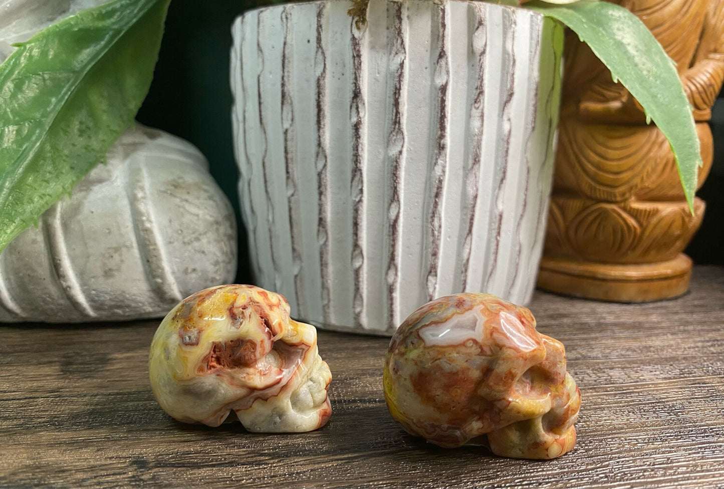 Crazy Lace Agate Skull
