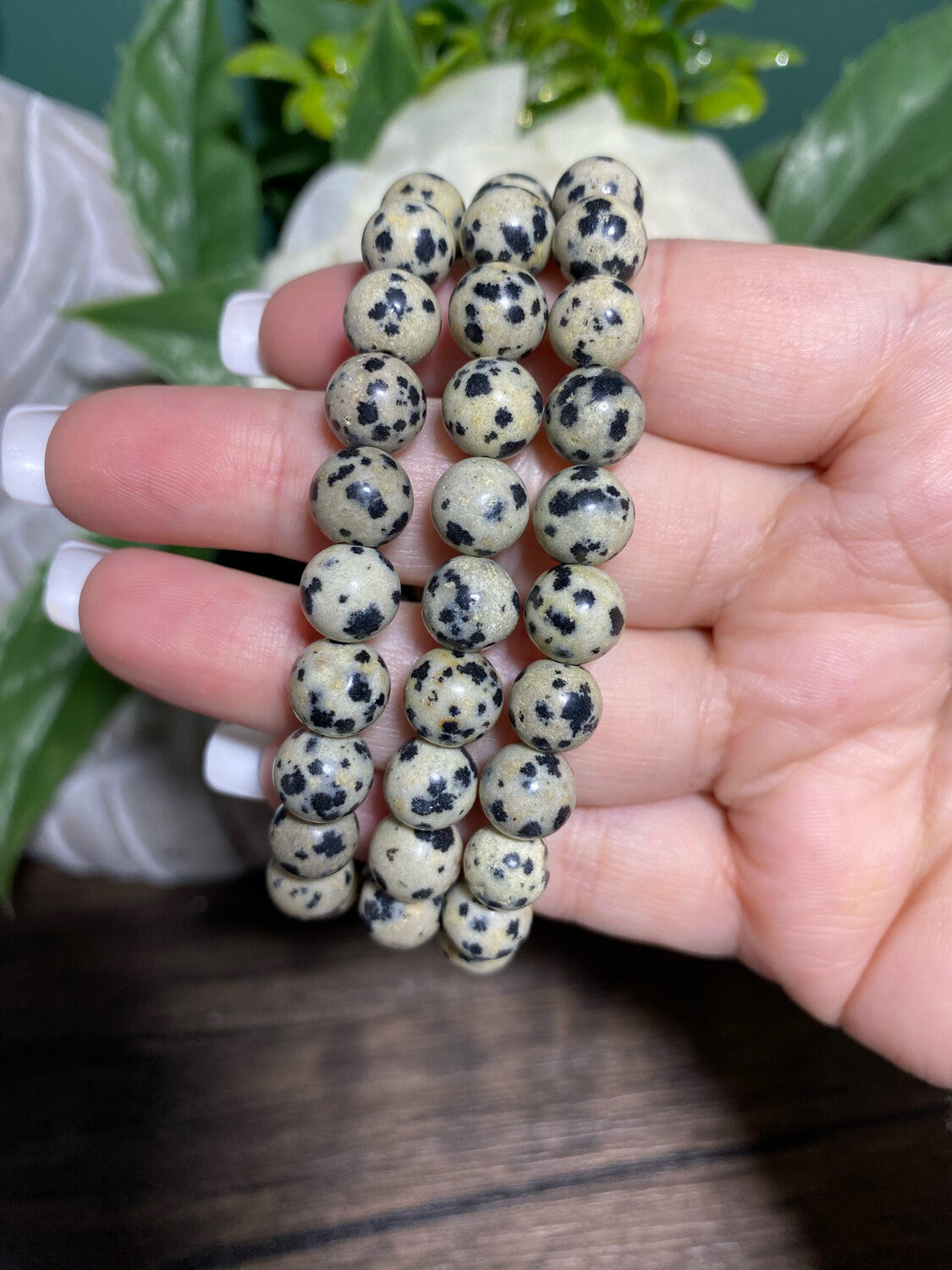 Dalmatian Jasper Bracelet