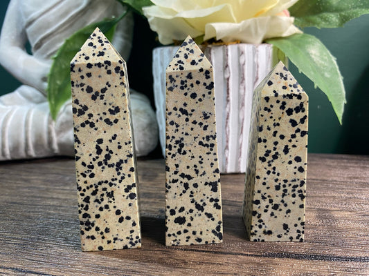 Dalmatian Jasper Obelisk Point