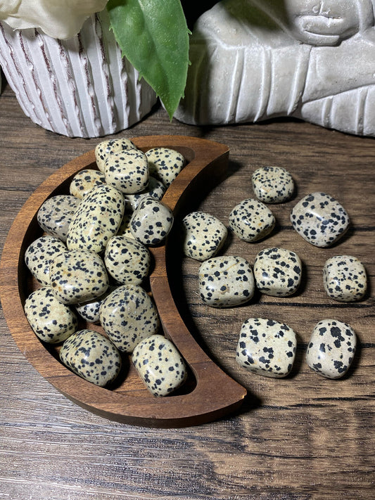 Dalmatian Jasper Tumble Stone