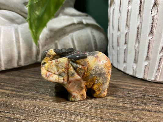 Crazy Lace Agate Elephant